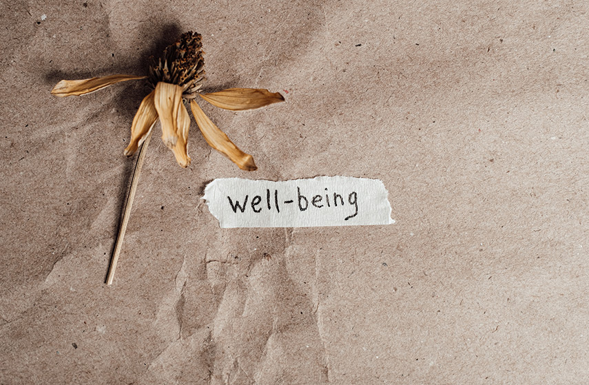 Unlocking Employee Wellbeing: 7 Transformative Opportunities for Companies